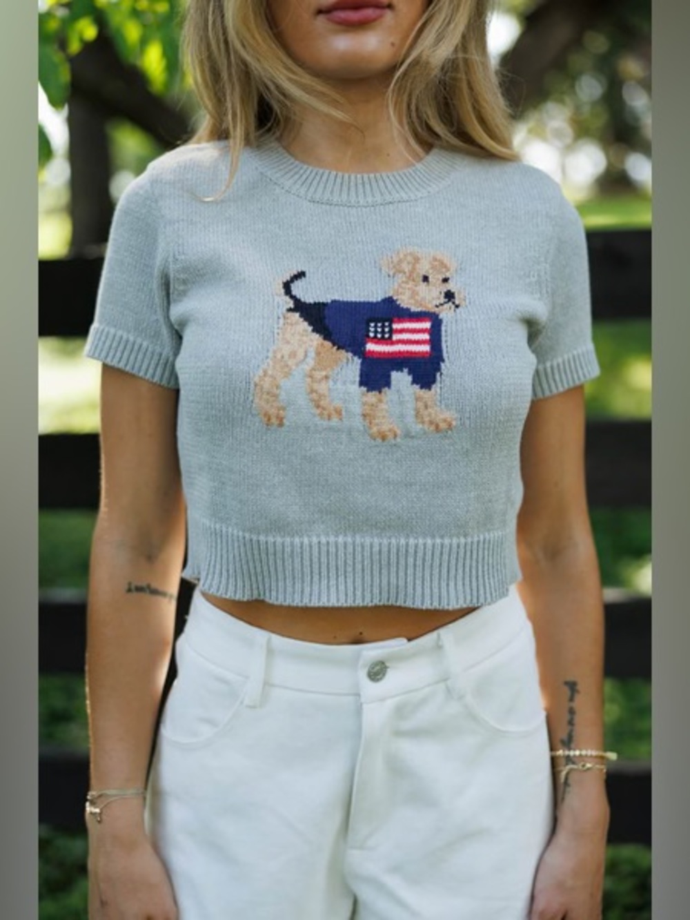 Le Lis Light Gray Cropped Knit PATRIOTIC PUPPY SWEATER Top with Dog - Picture 5 of 6